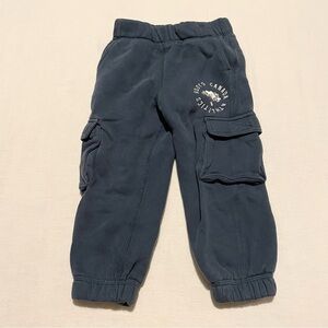 Roots Kids Jogger Pants Size 2T Sweatpants